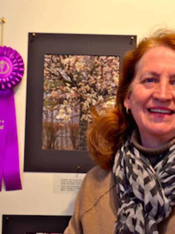 Tree Conservancy Of Darien Holds 'Celebration Of Trees' Photo Contest