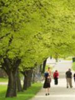 Donation Supports Durst Chair In Literature At Purchase College