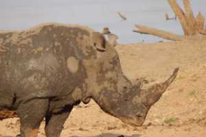 PHOTOS: Retired School Administrator From Paramus Visits Africa