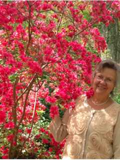 Public Invited To Enjoy Wonders Of New Canaan's Lee Garden