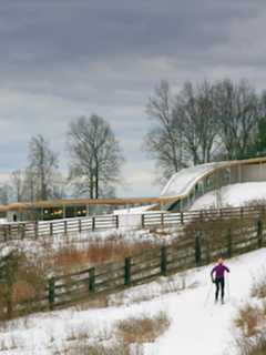 New Canaan's Grace Farms Offers Winter Programs
