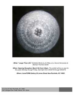 New Rochelle's transFORM Gallery Features Works By Photo-realists