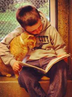 Closter Volunteers Care For Stray Dogs, Cats