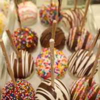 <p>Cake pops! What&#x27;s better?</p>