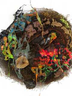 Nature Inspires 'The Nest' Exhibit At Katonah Museum Of Art