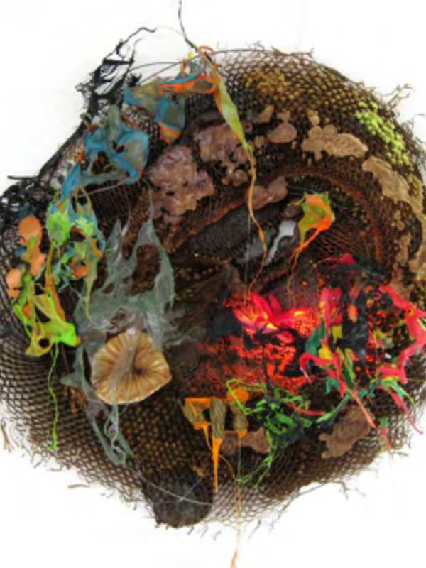 Nature Inspires 'The Nest' Exhibit At Katonah Museum Of Art