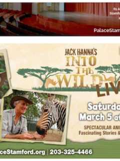 Jungle Jack Hanna Brings Into the Wild LIVE! To Stamford’s Palace Theatre
