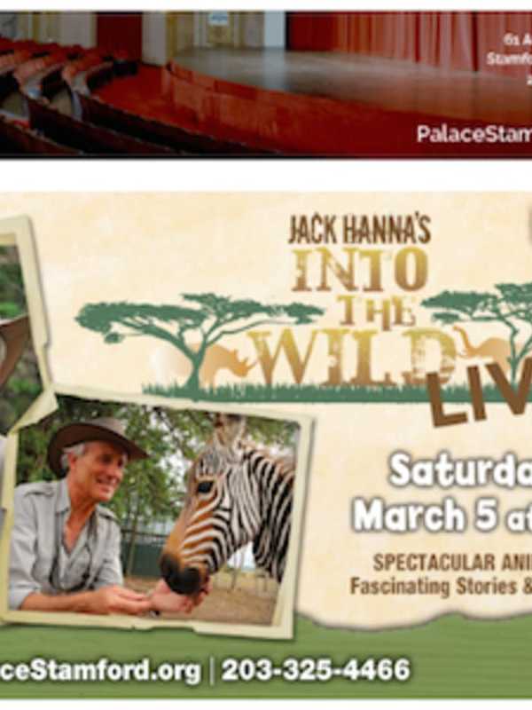 Jungle Jack Hanna Brings Into the Wild LIVE! To Stamford’s Palace Theatre
