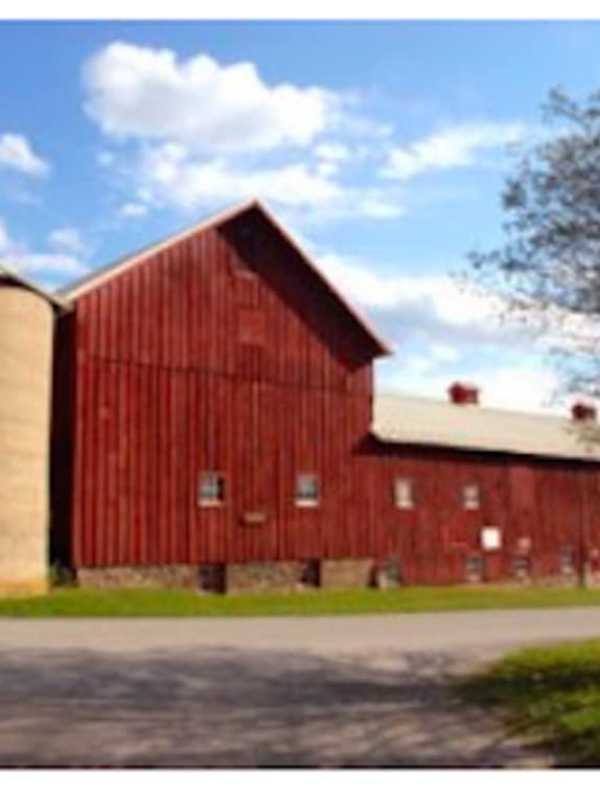 Stony Kill Farm Holding Open Barn