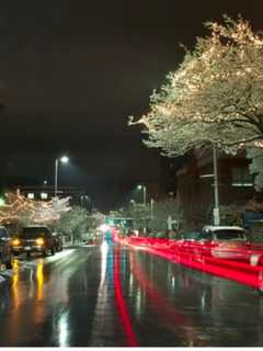 Scenes From A Poughkeepsie Snowfall