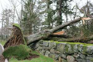 Power Restoration Continues In Greenwich After Wednesday Storm
