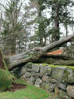 Power Outages From Storm, Sandy Hook Lawsuit Top Week's News In Fairfield