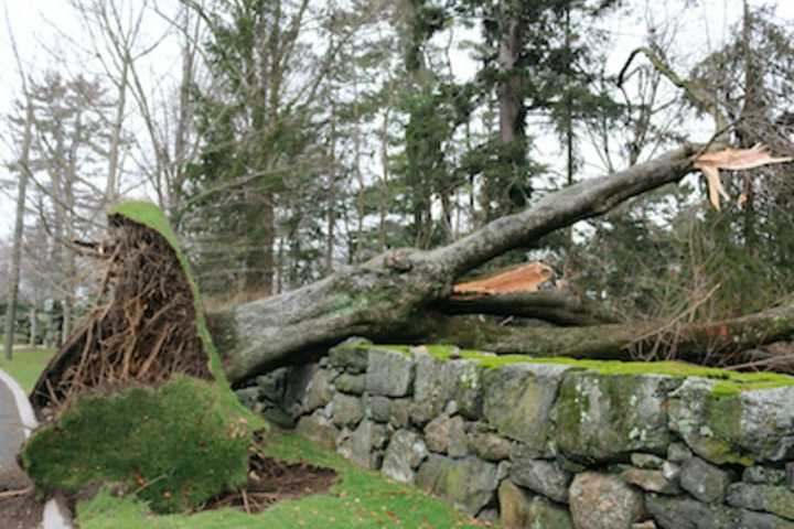 Power Restoration Continues In Greenwich After Wednesday Storm