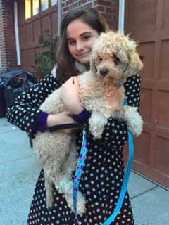 Cliffside Park Animal Rescue Participates In Westwood Adoption Event