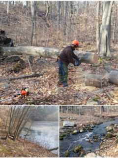 Greenwich Land Trust Staff Making Trail Improvements