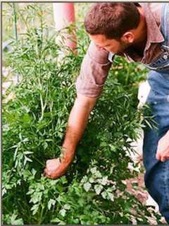 Bergenfield Garden CLub Schedules Spring Programs