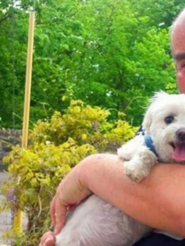'Well-Loved Fixture' Hospitalized After Being Struck By Car In Westchester