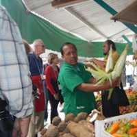 <p>&quot;A trip to the market was very interesting . . and, now that is some ear of corn. The kernels are as big as my little toe. And tough as a bunion. This corn appears in most of the Peruvian food. Crunch!&quot;</p>