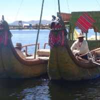 <p>&quot;We took a boat trip to Lake Titicaca and the floating reed islands, made and re-made from the totora , a cattail reed, and the home of the Uros tribe.&quot;</p>