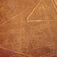 <p>&quot;We took a small plane flight to view the Nazca Lines in the desert. These lines are figures and lines that were carved into the desert by ancient Nazca people for religious or spiritual reasons. Another thought is that they were made by aliens.&quot;</p>