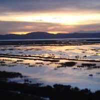 <p>&quot;Lake Titicaca at sunset.&quot;</p>