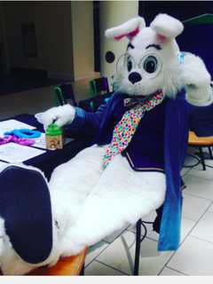 Jefferson Valley Mall Features Storytime With Easter Bunny
