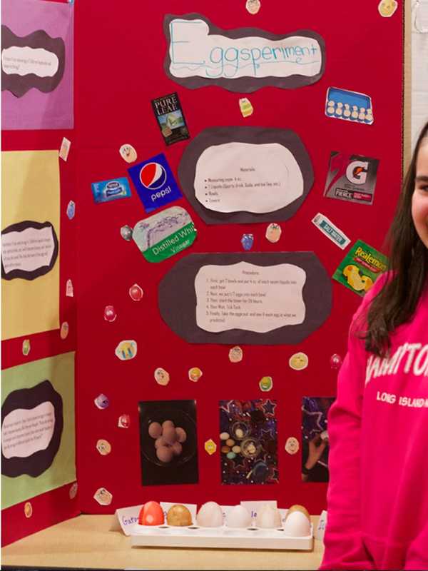Westlake Middle School In Thornwood Celebrates Learning With Science Fair