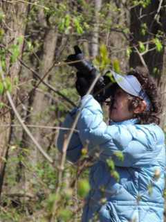 Tree Removal Process Closes Trails At Teaneck Creek Conservancy