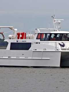 Maritime Aquarium Cruises Offer Chances To See Nature Up Close