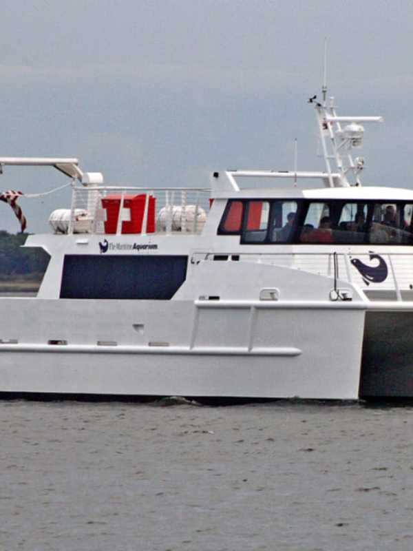 Maritime Aquarium Cruises Offer Chances To See Nature Up Close