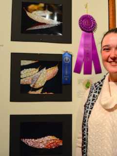 Tree Conservancy Of Darien Announces Winners Of Photo Contest