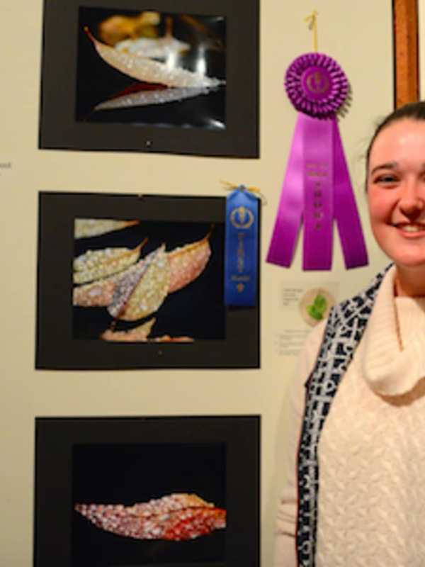 Tree Conservancy Of Darien Announces Winners Of Photo Contest