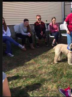 Teens Learn About Dog Handling, Animal Shelters,  More At Pawling Library