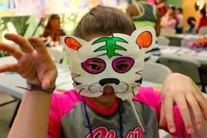 Kids Enjoy 'A Purrrfect Night' At Greenwich's Bruce Museum