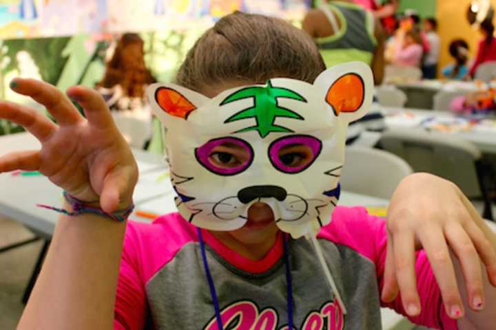 Kids Enjoy 'A Purrrfect Night' At Greenwich's Bruce Museum