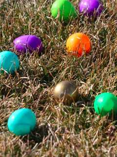 Children Invited To Find The Golden Egg in Oakland's Annual Easter Egg Hunt