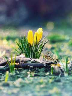 Turn Down The A/C: Spring-Like Temps Return To North Passaic