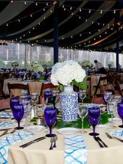 Greenwich Hospital Honoring Under The Stars Coordinators At Event