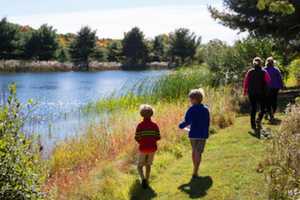 New Canaan's Grace Farms To Hold Earth Day Events