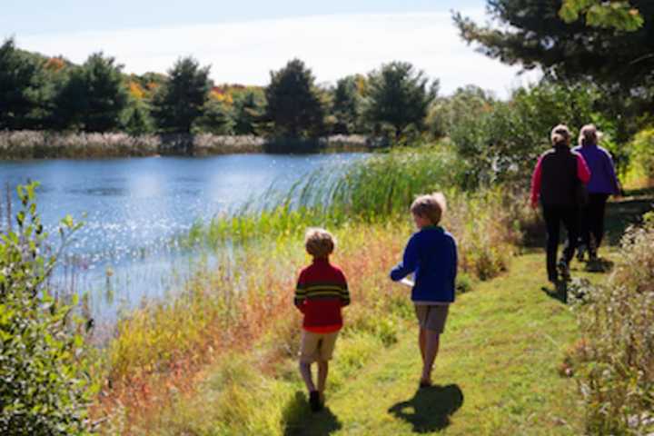 New Canaan's Grace Farms To Hold Earth Day Events