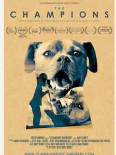 Loews In West Nyack Screens 'The Champions,' About Rescued Pit Bulls