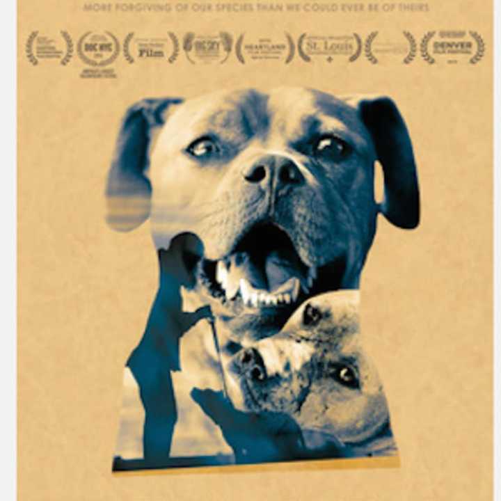 &quot;The Champions&quot; is about the pit bulls rescued from the brutal fighting ring of NFL quarterback Michael Vick, and the organizations who risked everything to save them.