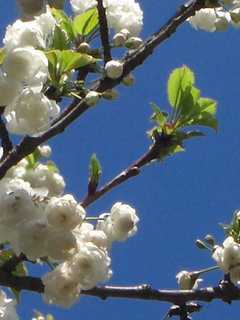 Kick The Kleenex This Spring With Allergy Tips From The Doctor's Office
