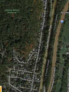 Cat Found On Saw Mill Parkway In Greenburgh Near Exit 23