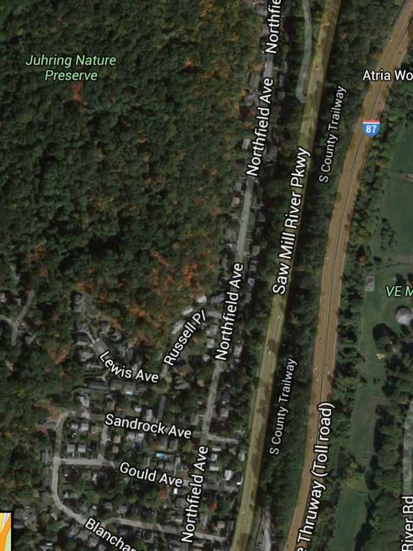 Cat Found On Saw Mill Parkway In Greenburgh Near Exit 23