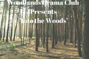 Woodland High School Thespians Head 'Into The Woods'