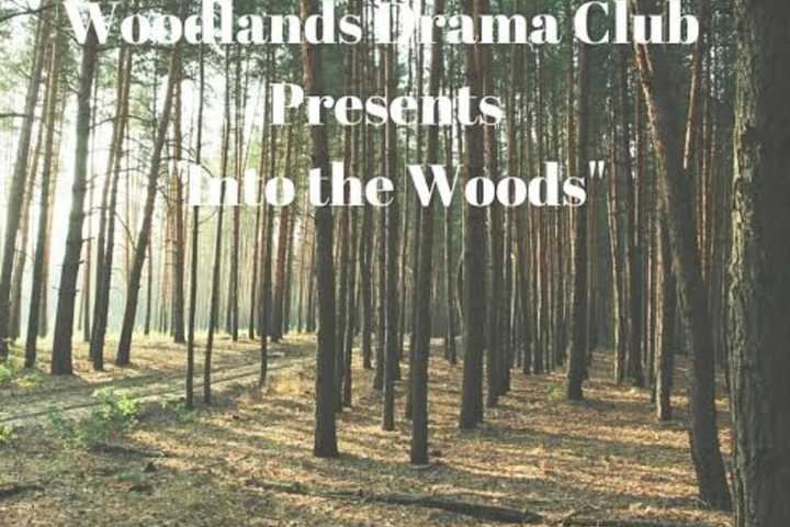 Woodland High School Thespians Head 'Into The Woods'