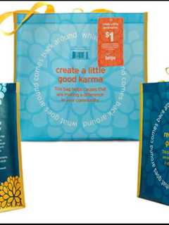 Grinnell Library In Wappingers Falls Organizes Reusable Bag Fundraiser