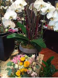 Green Wood Flowers Opens In Rye