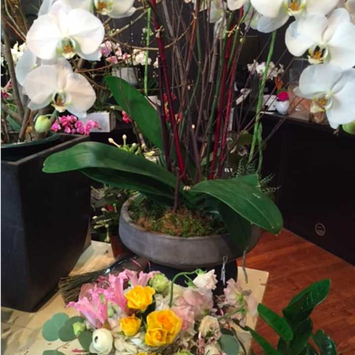 Green Wood Flowers, which has a location in Bronxville, has recently opened another location at 15 Purchase Street in Rye.